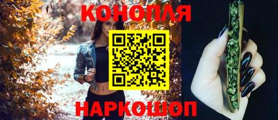 прущие крисы Нальчик