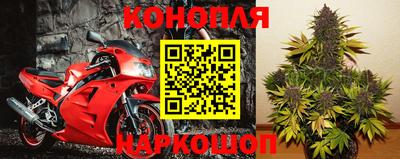 прущие крисы Нальчик