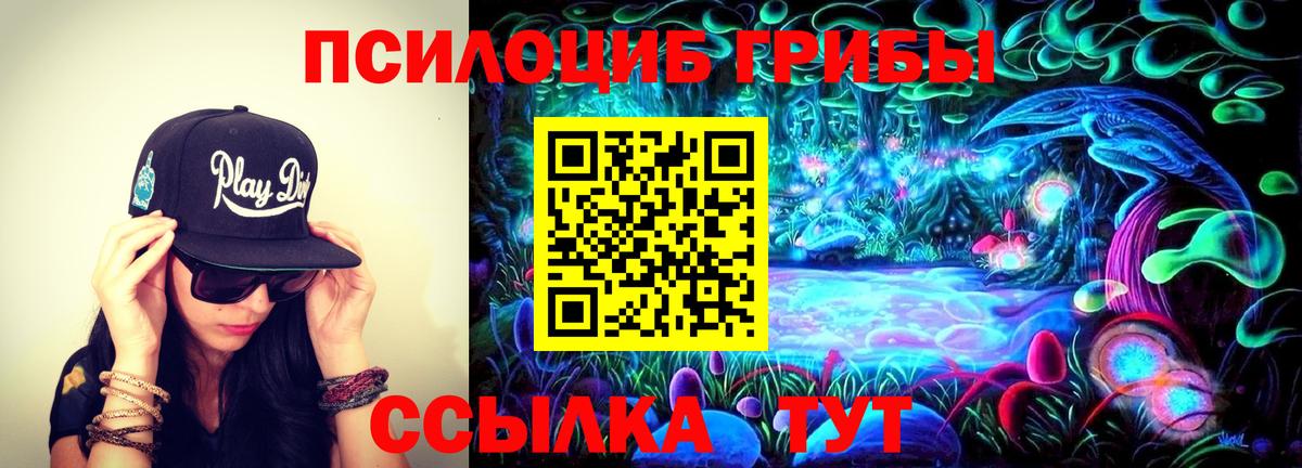 Псилоцибиновые грибы Cubensis  Псилоцибиновые грибы ЛСД  Алапаевск  Вход с VPN 